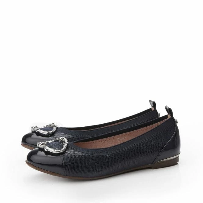 Fairy Navy Lizard 4 Fairy Navy Lizard - Image 2