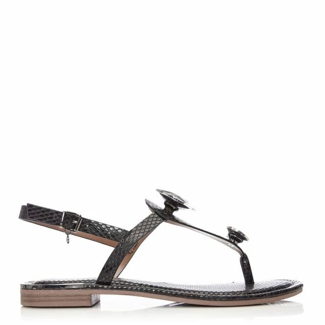 Jewellzi Black Snake Print 3 Jewellzi Black Snake Print