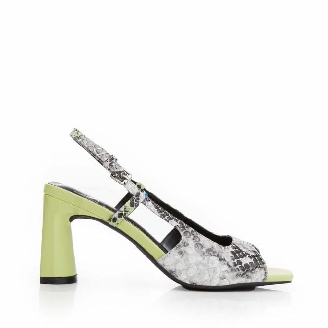 Makenzie Monochrome Snake Print 3 Makenzie Monochrome Snake Print