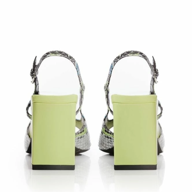 Makenzie Monochrome Snake Print 6 Makenzie Monochrome Snake Print - Image 4